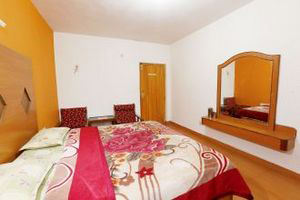 Hotel Sree Ganapathy, Ooty - Room View 3