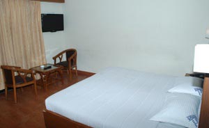 Hotel Glanton Manor, Ooty - Room View 3